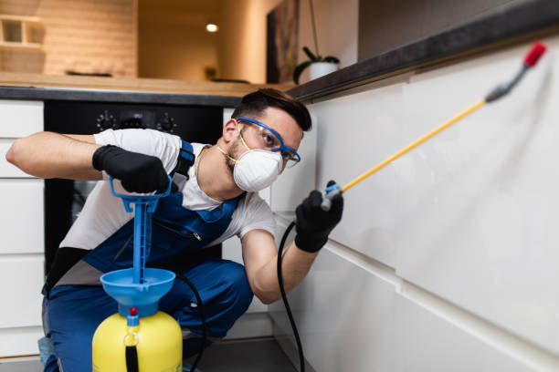 Pest Prevention Services in Lennox, CA