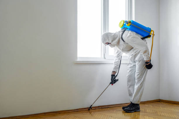 Best Commercial Pest Control Services  in Lennox, CA