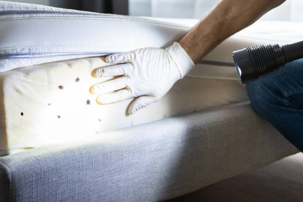 Best Best Pest Control Companies  in Lennox, CA
