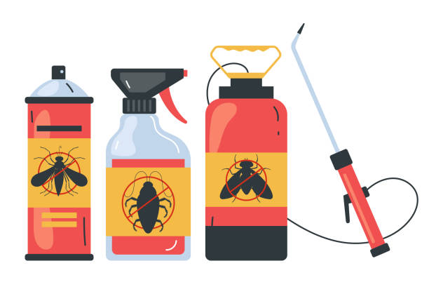 Best Spider Control Near Me  in Lennox, CA