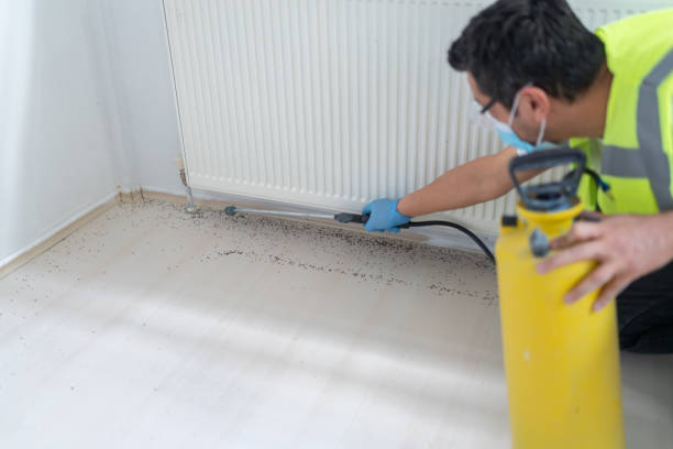 Best Termite Control Services  in Lennox, CA