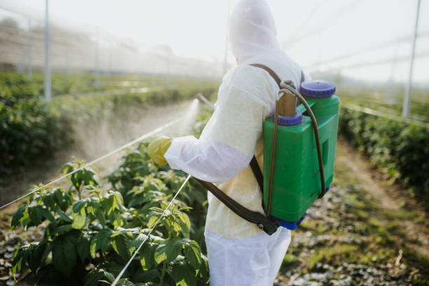 Best Ant Control Services  in Lennox, CA